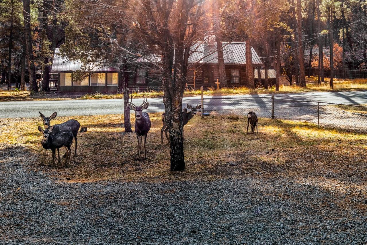 Villa The Great Escape Ruidoso Esterno foto