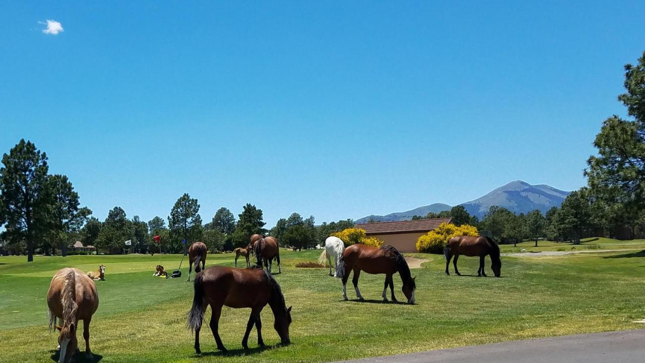 Villa The Great Escape Ruidoso Esterno foto